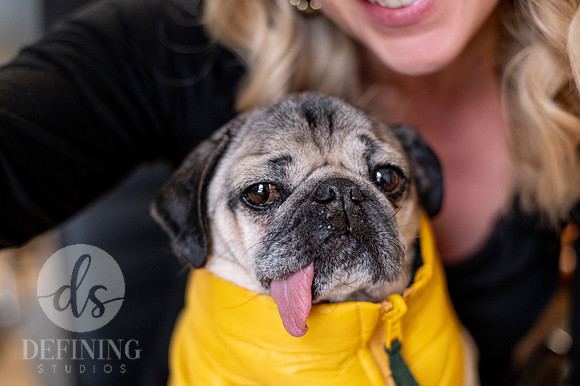Doug_The_Pug_121