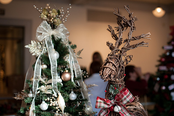 Womans_Committee_Tree_Decorationg_71