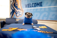 01-16-25 Doug the Pug