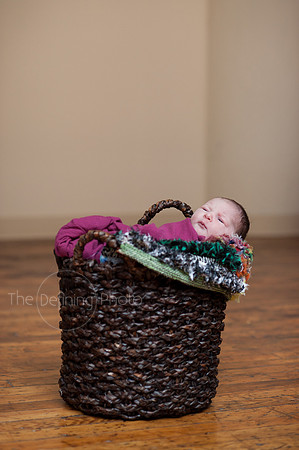 Sherwood_Family_23