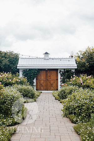 annie-shelmerdine-oTH0rBJi86k-unsplash