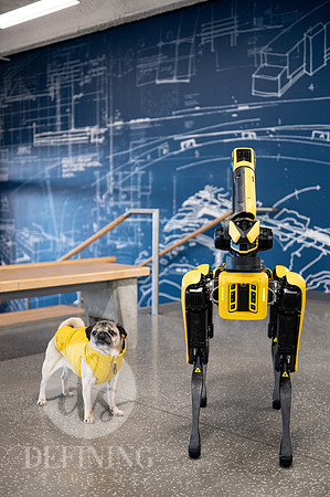 Doug_The_Pug_097