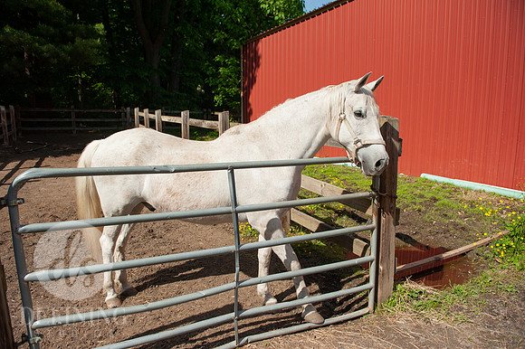 Keney_Park_Tour_115