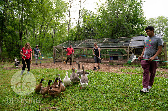Summer_Program_D2_027