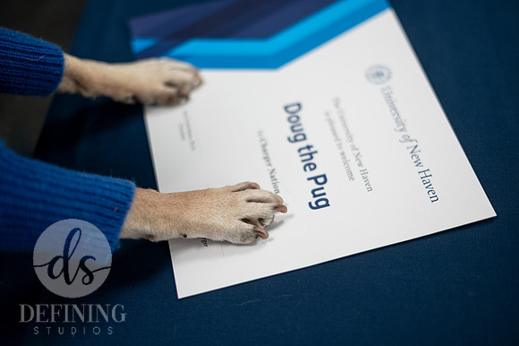 Doug_The_Pug_019