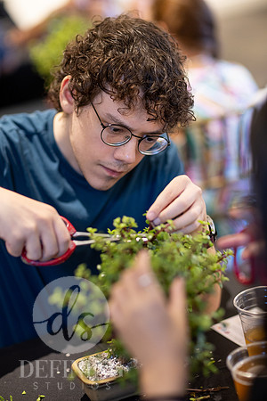 Bonsai_and_Brew_147