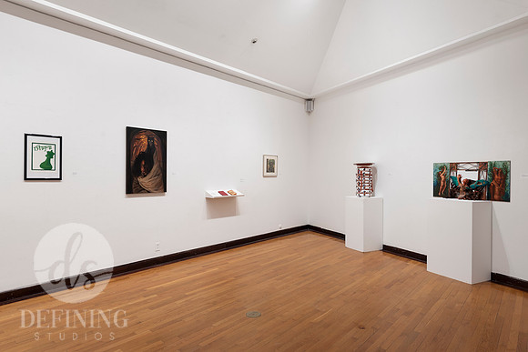 Goldfarb_Installation-15