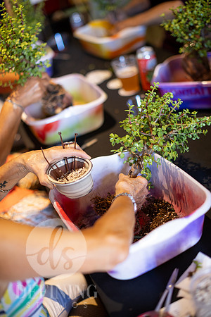 Bonsai_and_Brew_104