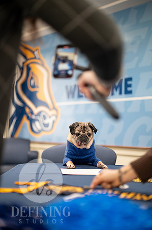 Doug_The_Pug_010
