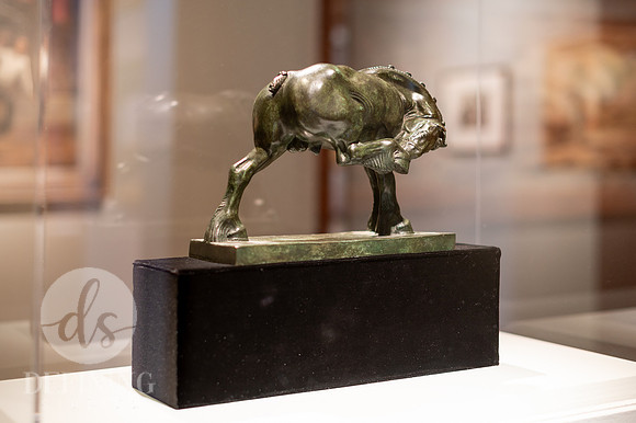 Feb_2025_Galleries_230