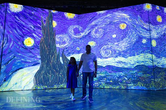 Beyond_Monet-VanGogh-158