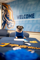 Doug_The_Pug_008