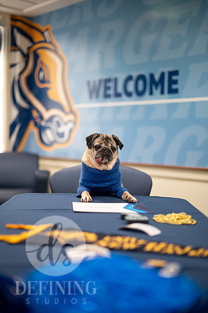 Doug_The_Pug_008