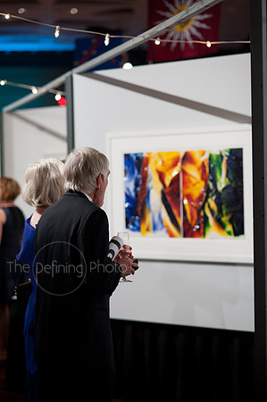Splendor_2013_097