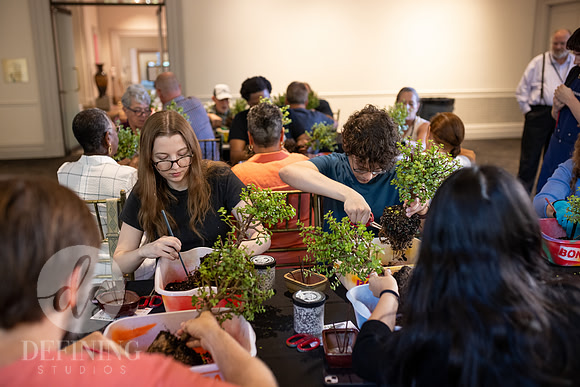 Bonsai_and_Brew_069
