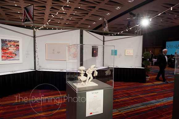 Splendor_2013_004