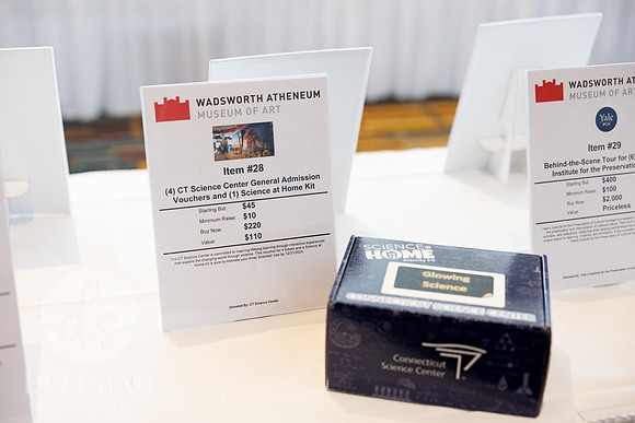 Wadsworth_Spring_Gala_011