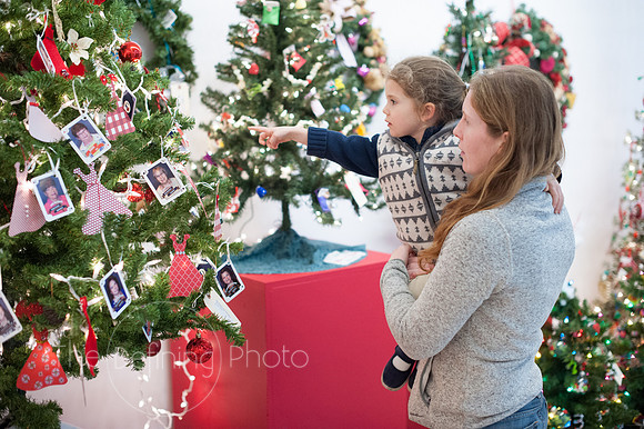 Festival_Of_Trees_099