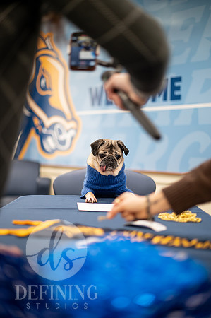 Doug_The_Pug_009