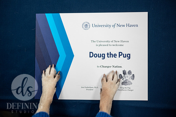 Doug_The_Pug_022