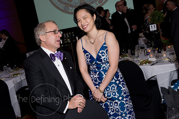 Splendor_2013_173