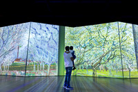 Beyond_Monet-VanGogh-051