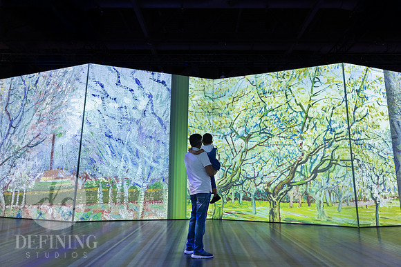 Beyond_Monet-VanGogh-051