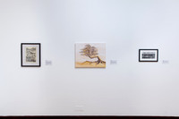 Goldfarb_Juried_Student_Exhibition_2023_Installation_007
