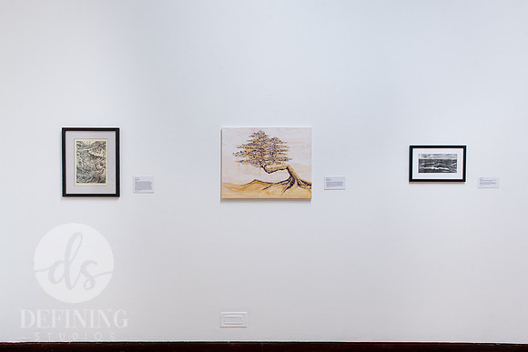 Goldfarb_Juried_Student_Exhibition_2023_Installation_007