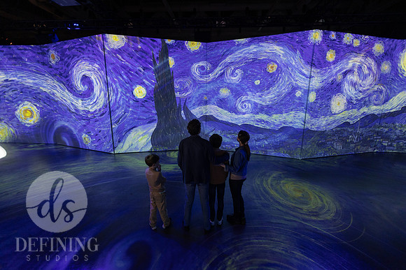 Beyond_Monet-VanGogh-PROOFS-121