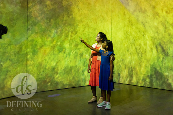 Beyond_Monet-VanGogh-PROOFS-034
