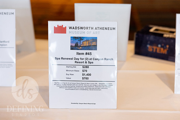 Wadsworth_Spring_Gala_019