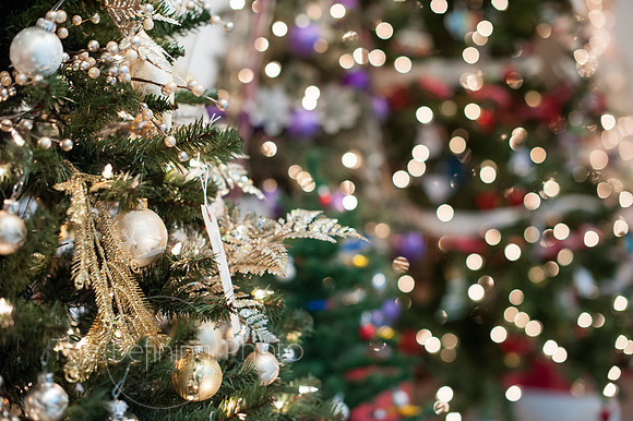 Festival_Of_Trees_101