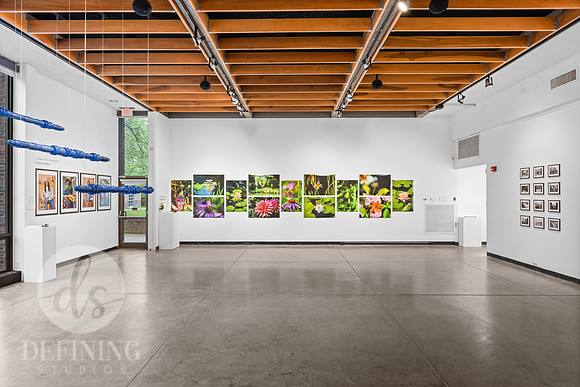 BFA_Thesis_Exhibition_2-106