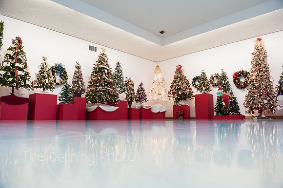 Festival_Of_Trees_034