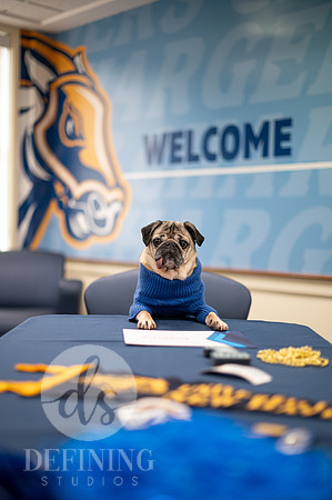 Doug_The_Pug_013