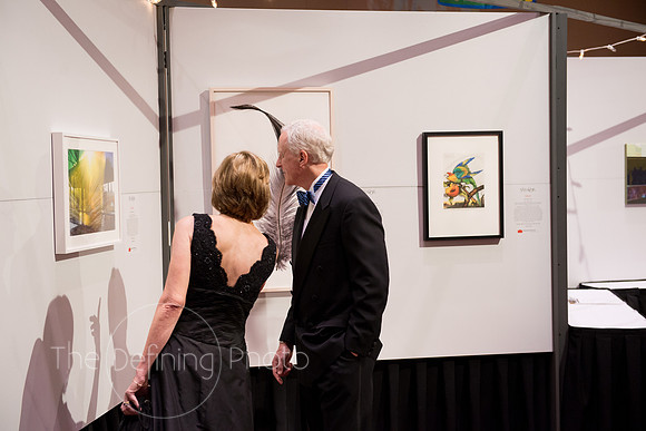 Splendor_2013_059